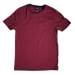 ASCOT Slim Fit Striped Shirt